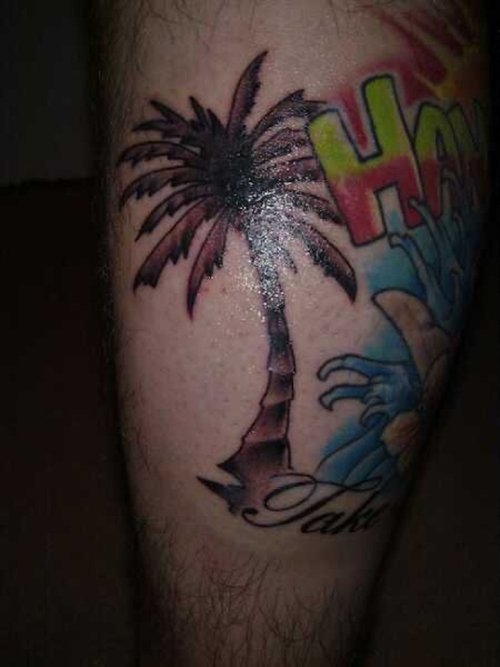 Grey Ink Palm Tree Tattoo On Leg